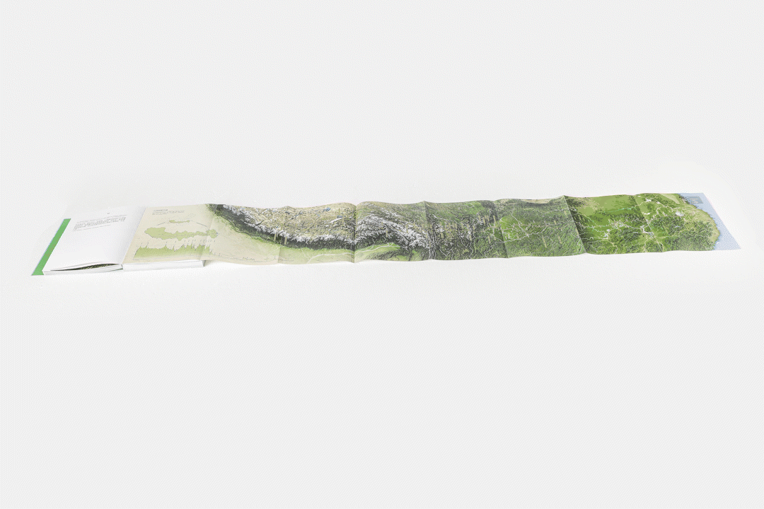 5.gif