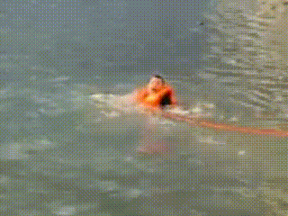 640.gif