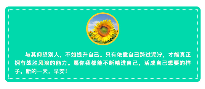 1111.jpg