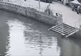 640.gif