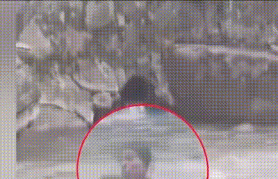 640.gif