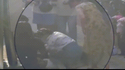 640.gif
