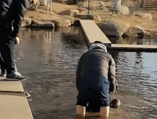 640.gif