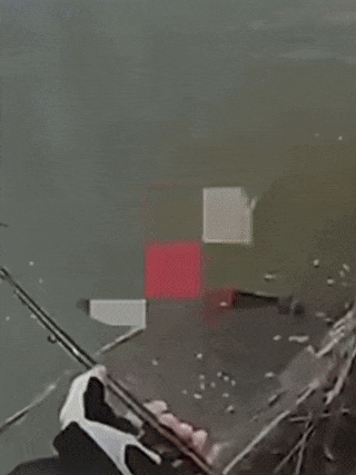 640.gif