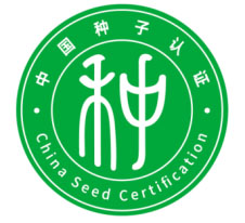 640 拷贝.jpg